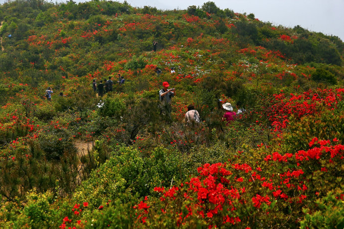 汪前瀑布登厦门高峰云顶山俯瞰厦门--e部落--每周