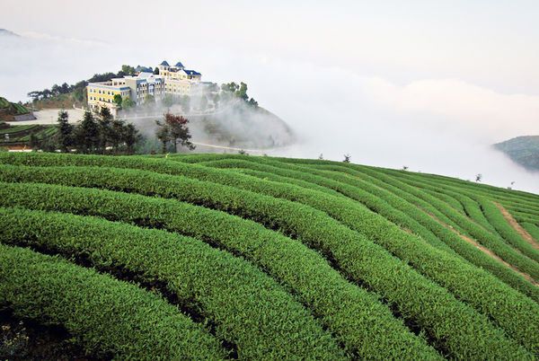 【大闽】登闽南最高峰大芹山▲桥上书屋