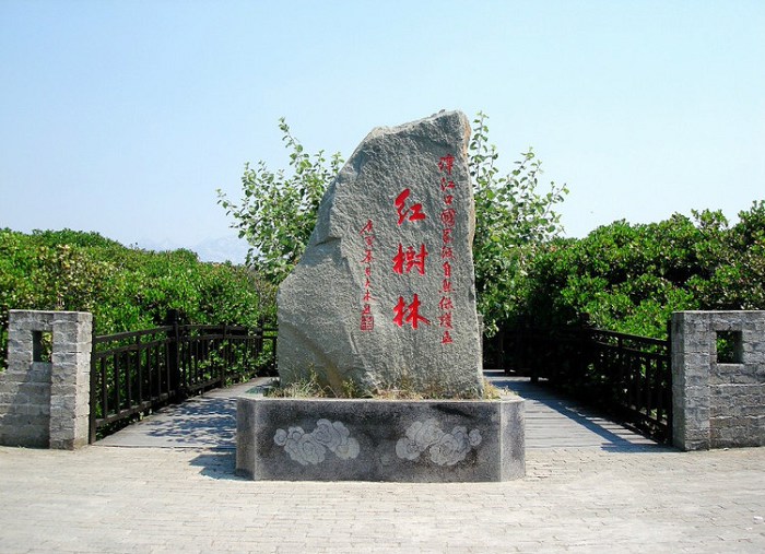 云霄县有多少人口