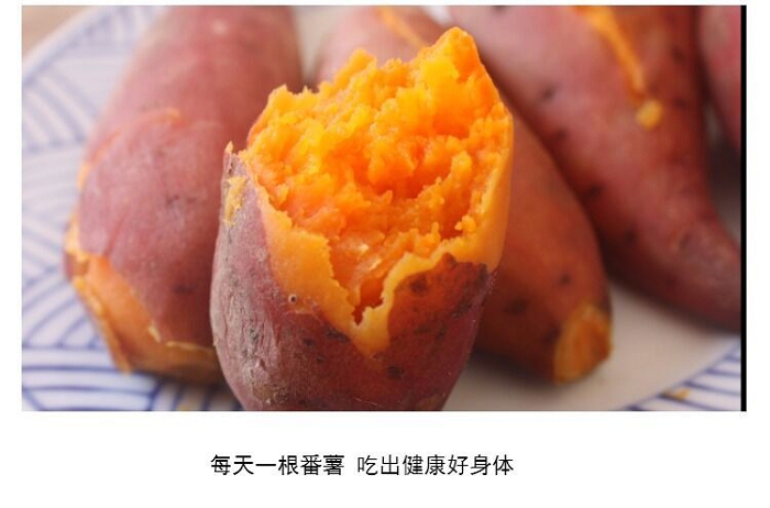 六鳌新鲜沙地红薯红心地瓜番薯 农家小香薯现