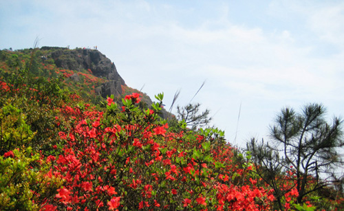 【云顶山】厦门珠穆朗玛峰的云顶山是厦门户外高峰,海拔1175米