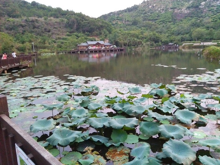 南炮台加走湖浮宫采摘杨梅一日游