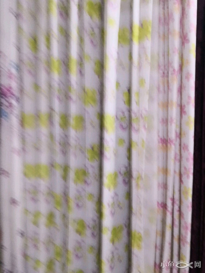 201902251052001Ym2Pn.jpg