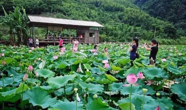 资兴区游玩攻略亲子游玩,资兴市的旅游景点有哪些