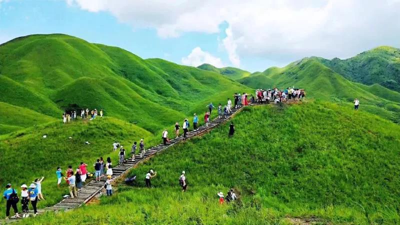 07:00翔安高速路口 柘荣鸳鸯草场,面积规模达到了1万多亩,号称福建"