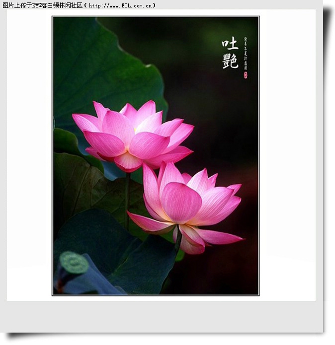 时间像流水一去不复返类似的句子。-形容时间