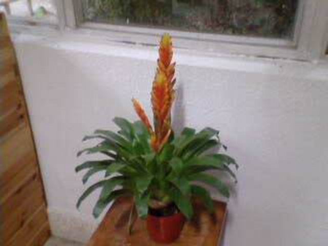 200902172105274Ok1Ph.jpg