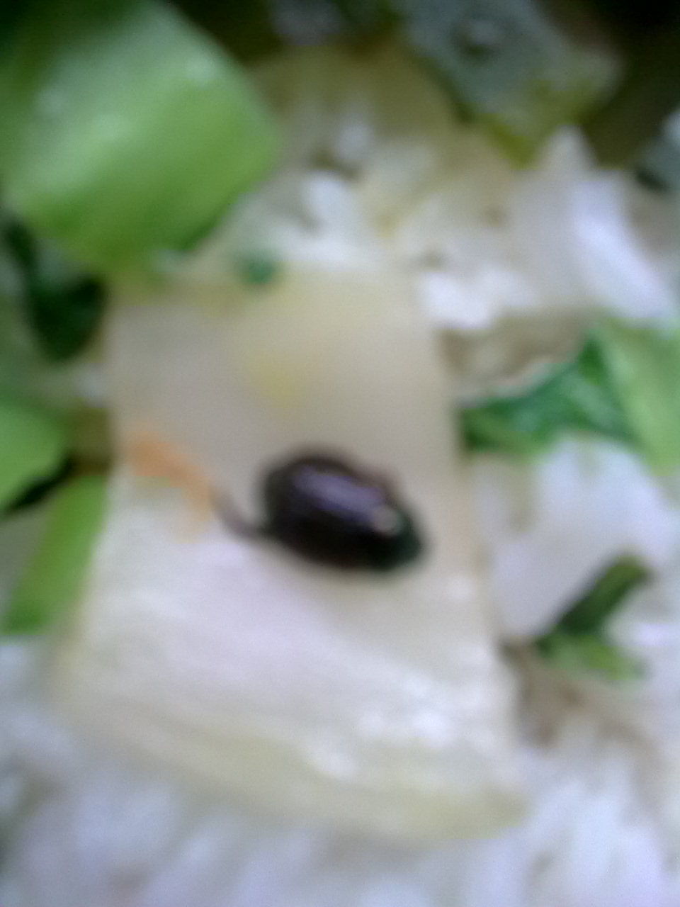 200904221149530Km2Ur.jpg
