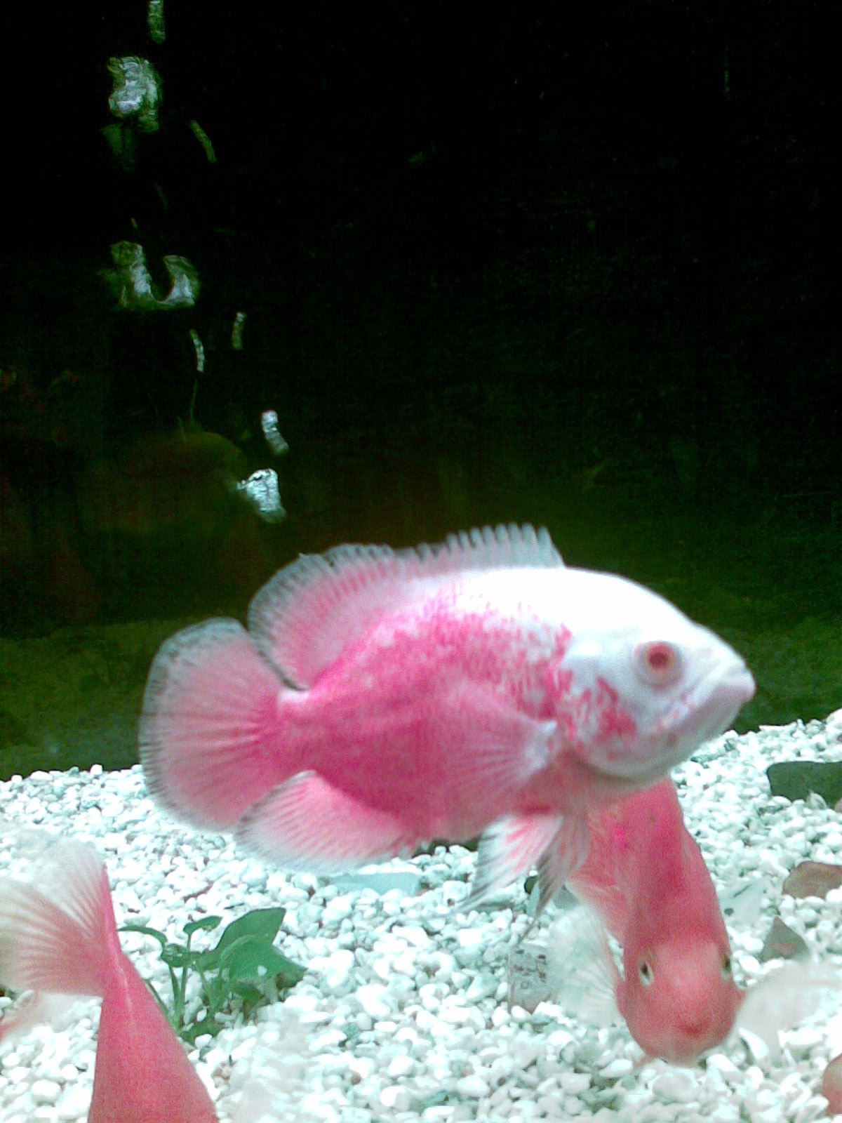 200906151341190Sk4Qx.jpg