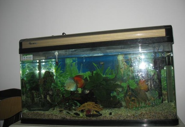 201006231506383En9Tc.jpg