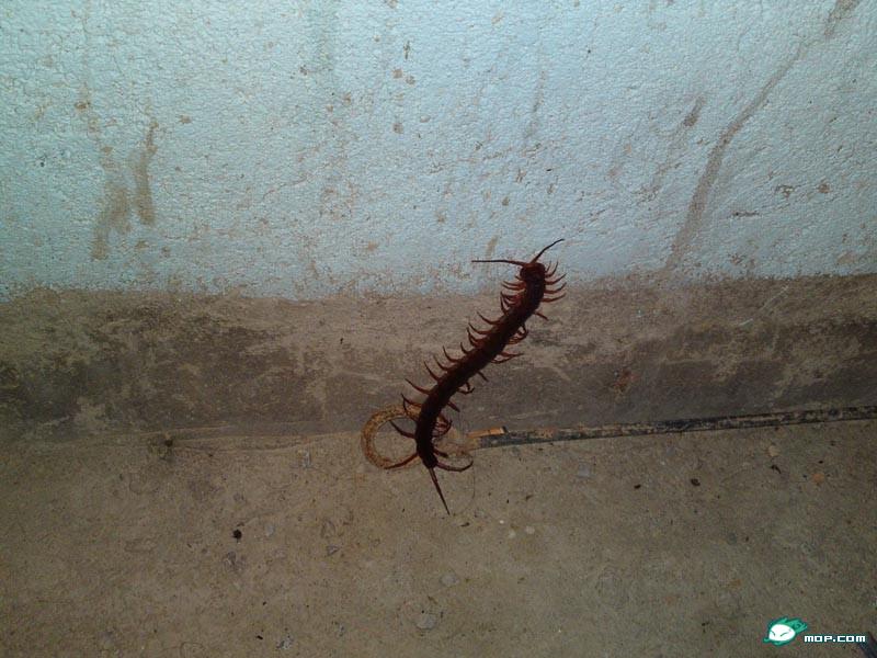 201008251422480Et6Pb.jpg