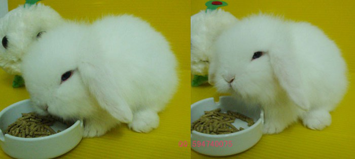 201012041306597Jw1Uo.jpg