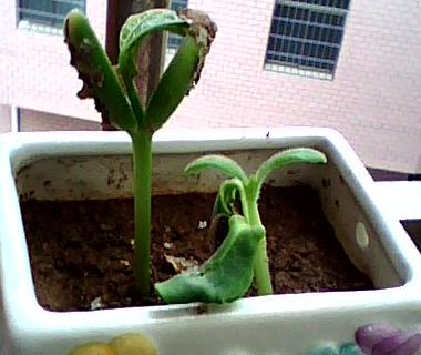 201104181436208Dy5Ky.jpg