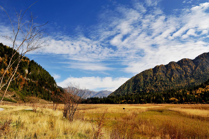就要离开厦门了,不知如何跟老板开口辞职?想先