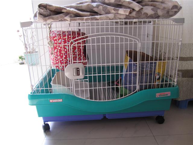 201105291628443Hr9Oi.jpg