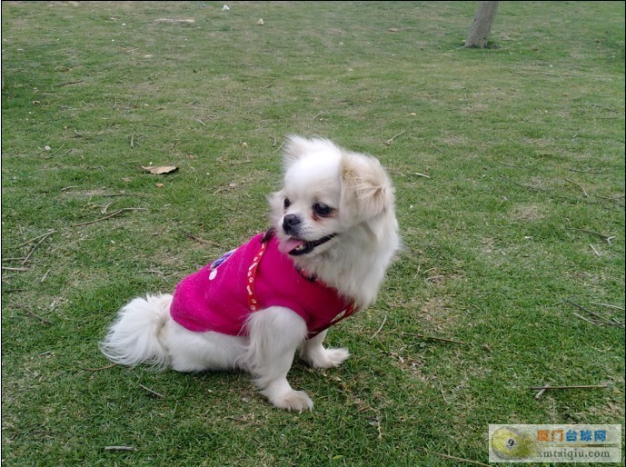 201110291113287Zq6Db.jpg