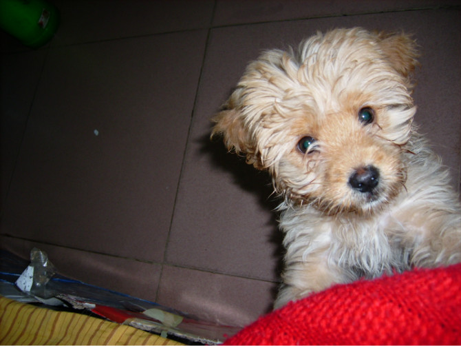 201201292323022Xk8Oy.jpg