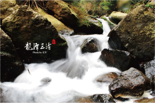 漳平人口有多少_漳平水仙茶