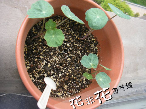 201202231304263Oc3Yw.jpg