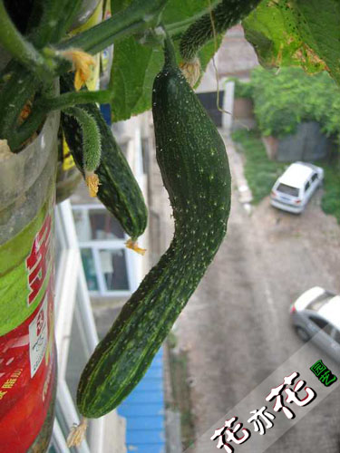 201202251324055Yn7Zk.jpg