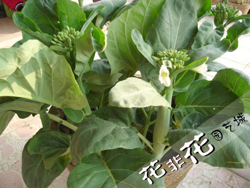 201202252209251Eb1Np.jpg