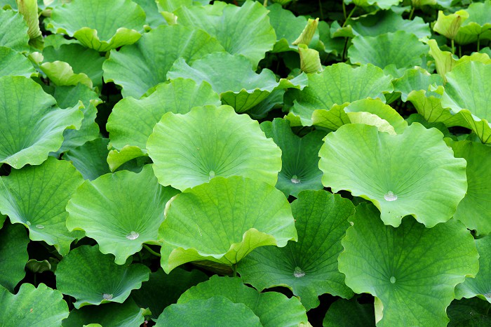 201204281422222Kp3Cc.jpg
