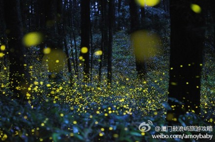 201309171438352Gg8Lf.jpg