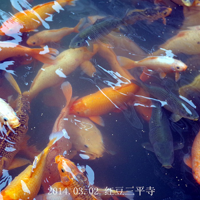 /Upload/201403022253343La4Oy.jpg
