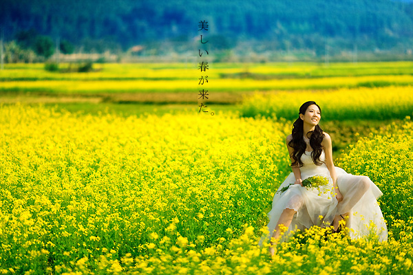 沃肯◆798元婺源油菜花,和平古镇三日游--e部落--每周